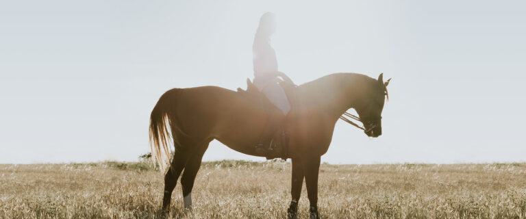 Blessed Are Those Who Die to Self