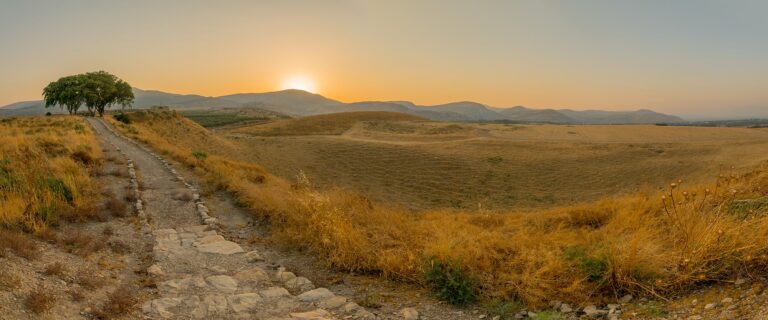 A Long-Distance Healing