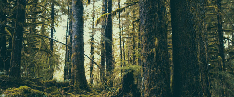 We Need Not Live in Fear