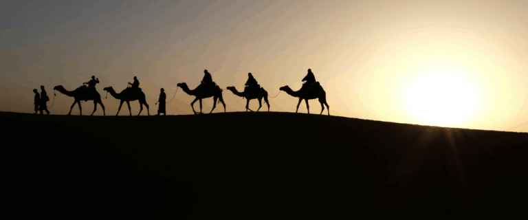 people riding on camels in the desert.